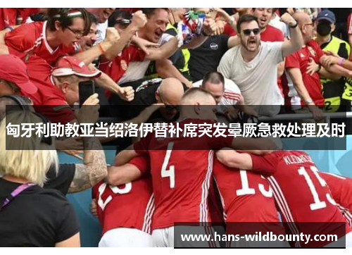 匈牙利助教亚当绍洛伊替补席突发晕厥急救处理及时 匈牙利助教亚当绍洛伊替补席突发晕厥急救处理及时