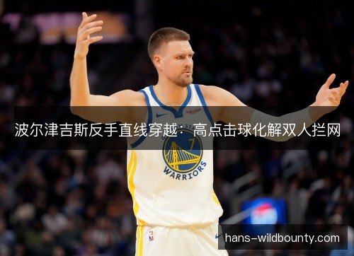 波尔津吉斯反手直线穿越：高点击球化解双人拦网