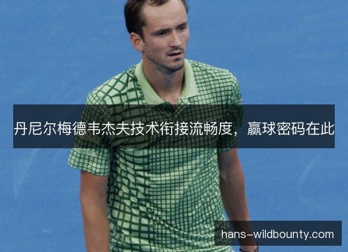 丹尼尔梅德韦杰夫技术衔接流畅度，赢球密码在此