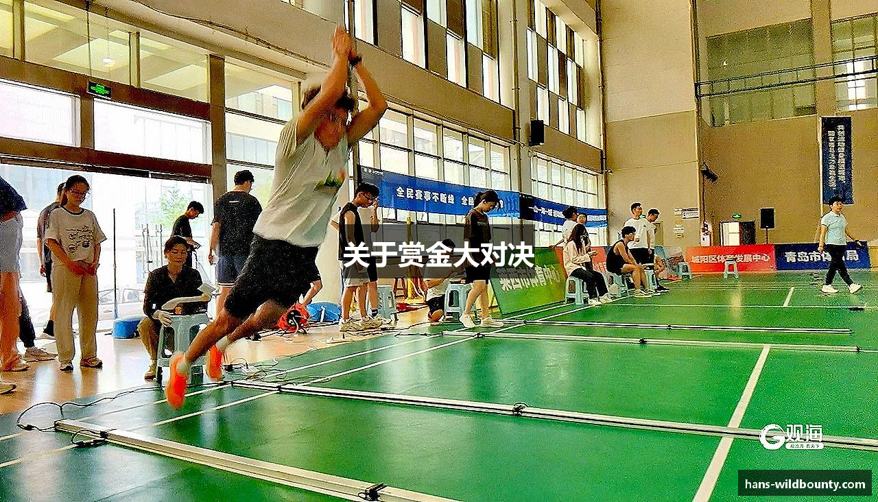 关于赏金大对决